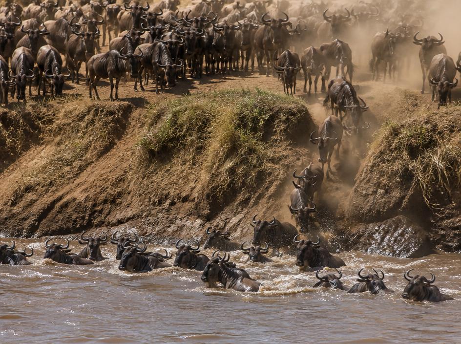 Great Migration