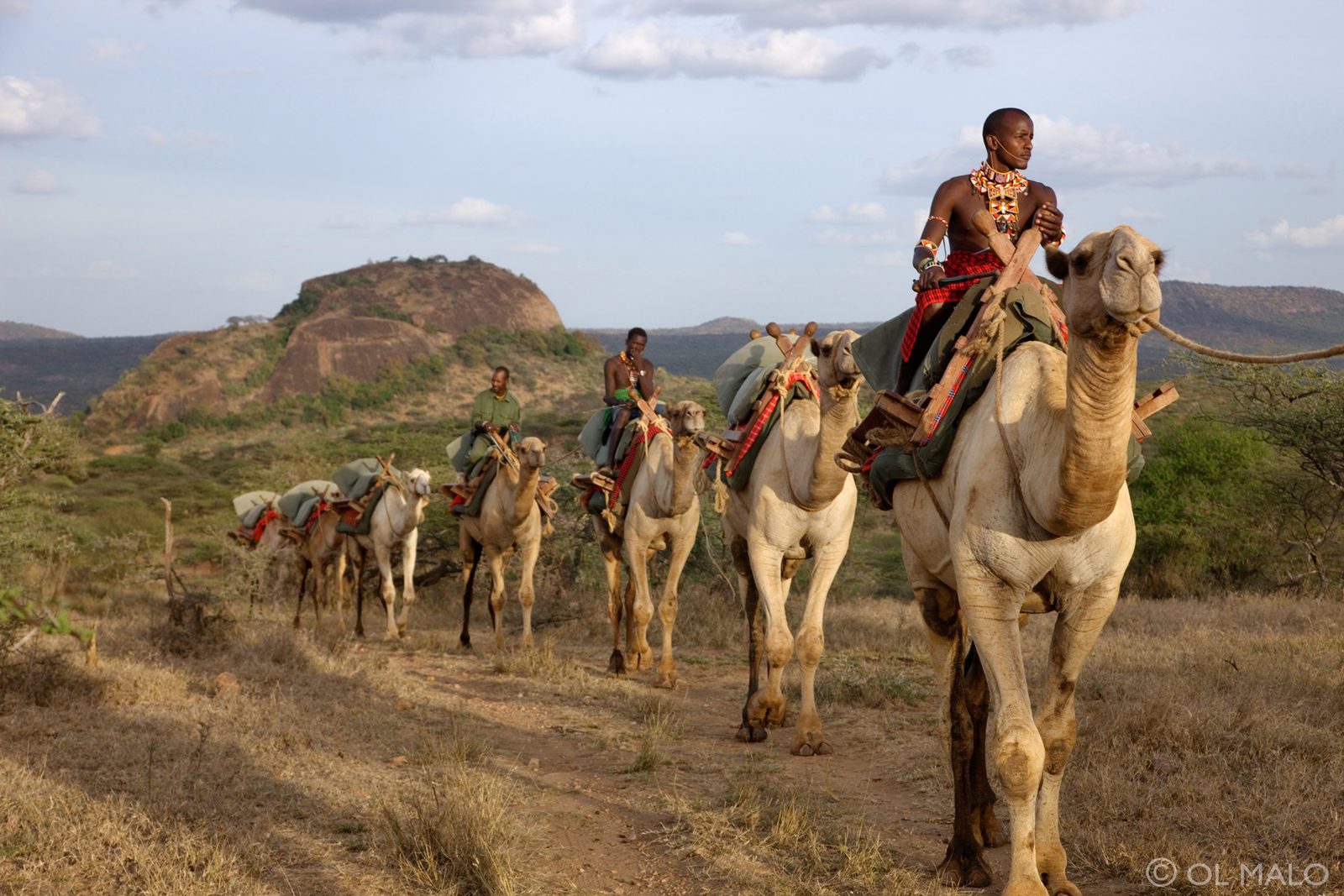 Laikipia, Camel trekking through northern Kenya