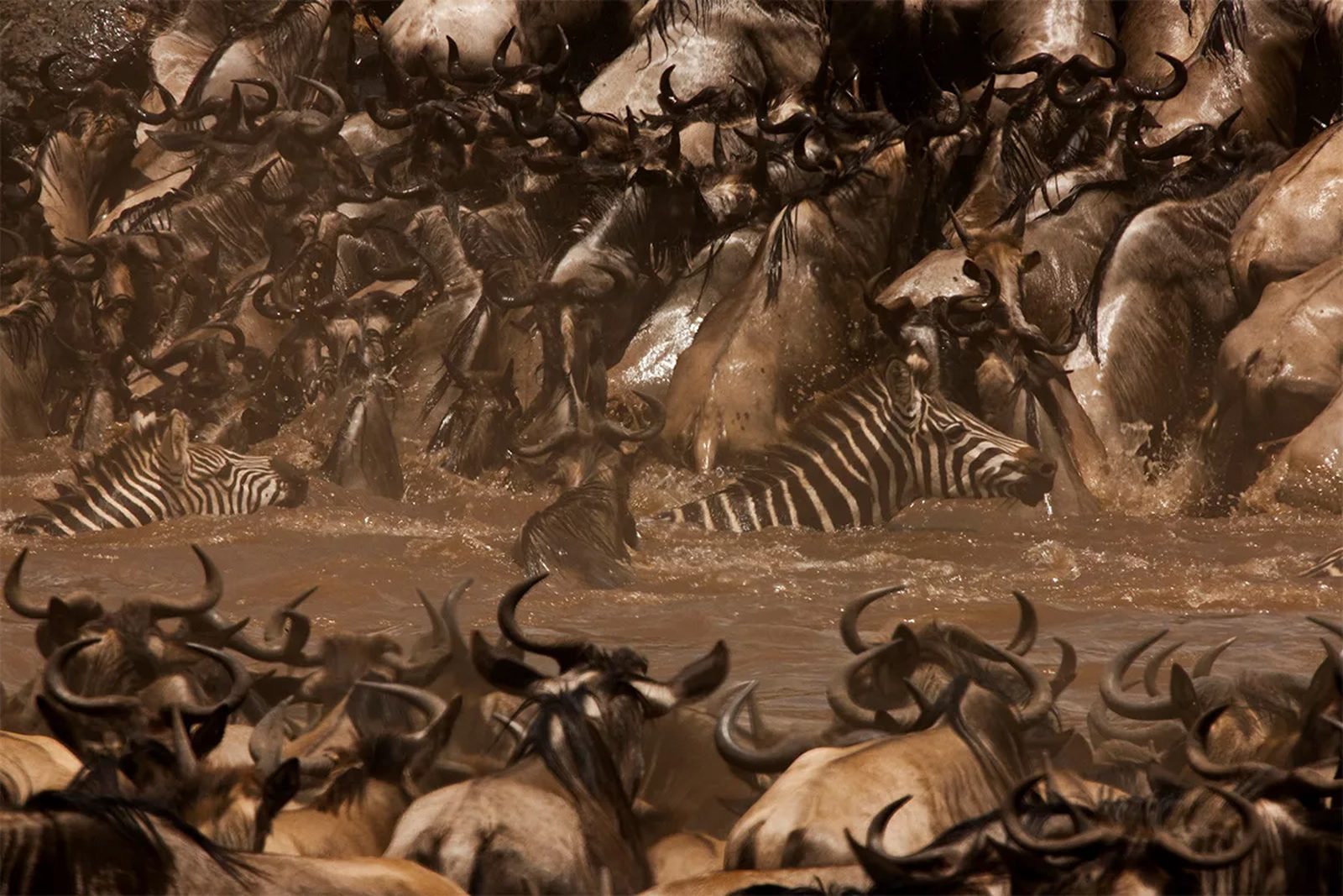 Great Migration